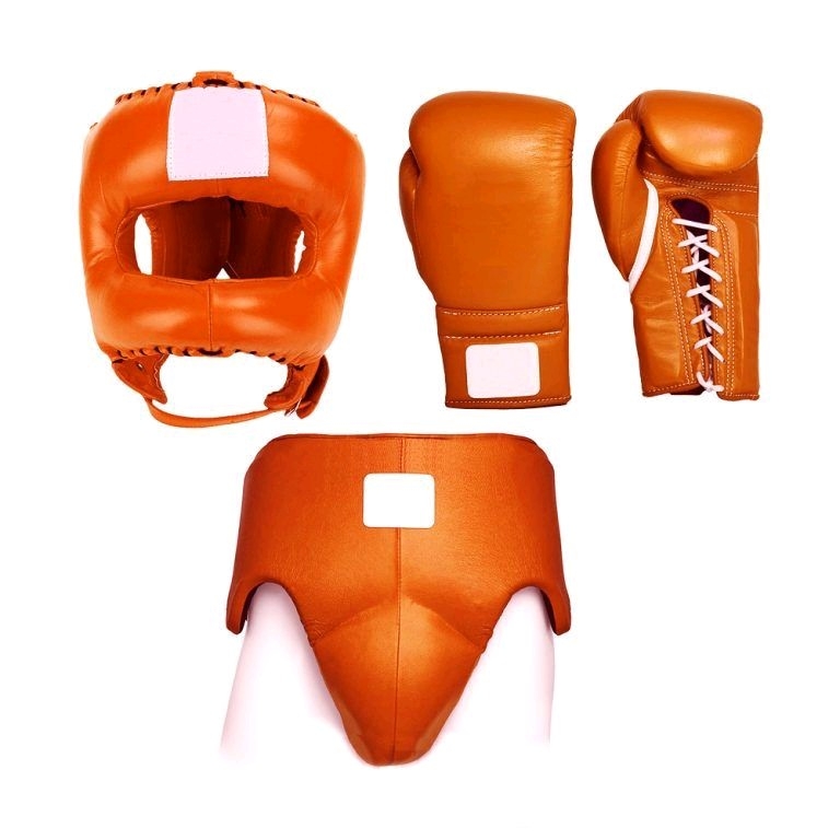 Head Guards